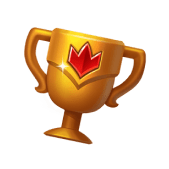 <strong><strong>Toernooien</strong></strong>